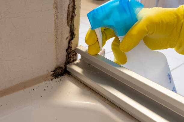 Best Industrial Mold Remediation  in Malverne, NY